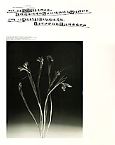 Original Calendar_2001_3