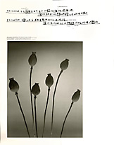 Original Calendar_2001_6