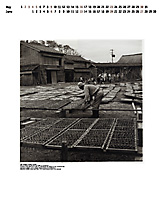 Original Calendar_2004_3