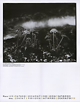 Original Calendar_2007_2